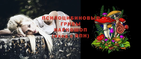 стаф Богородицк