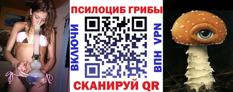 Псилоцибиновые грибы Psilocybe  Воскресенск 